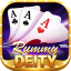 indo rummy apk icon