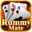 rummy 91 agent