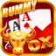 you rummy game 777 icon